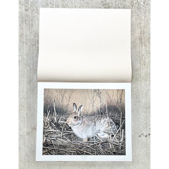 1983 Charles Fracé “My Friend, Rabbit” Signed Lithograph Print 23”X19” - Picture 5 of 9